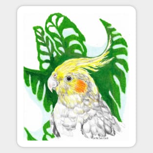 Penguin the Cockatiel Sticker